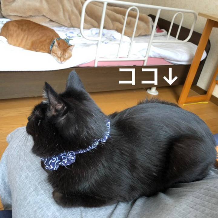 3c427d78 b8f2 4b7f 8e68 89c070c7733b 1575764328238