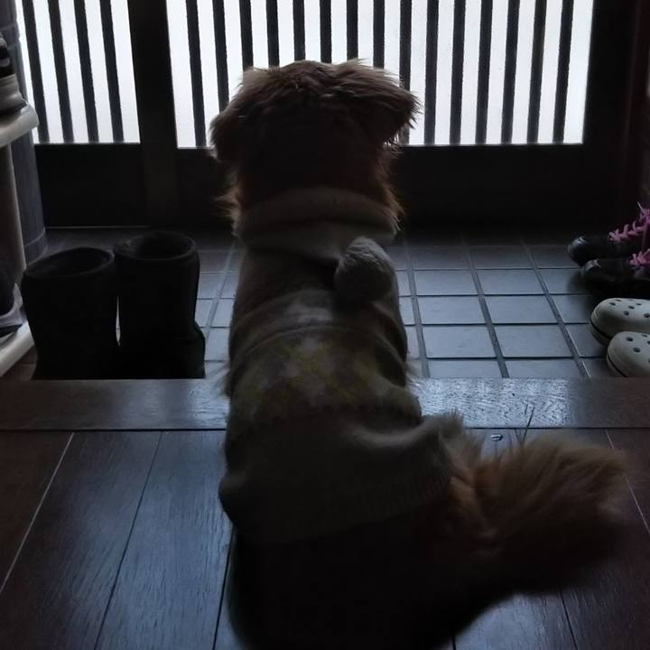 3c428317 66b8 4bf7 9453 17547ffe6072 1581235866714