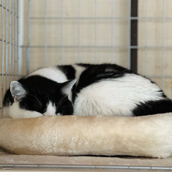 3c42a7e0 f54c 44b5 8c32 5e2df7790351 1709170815090