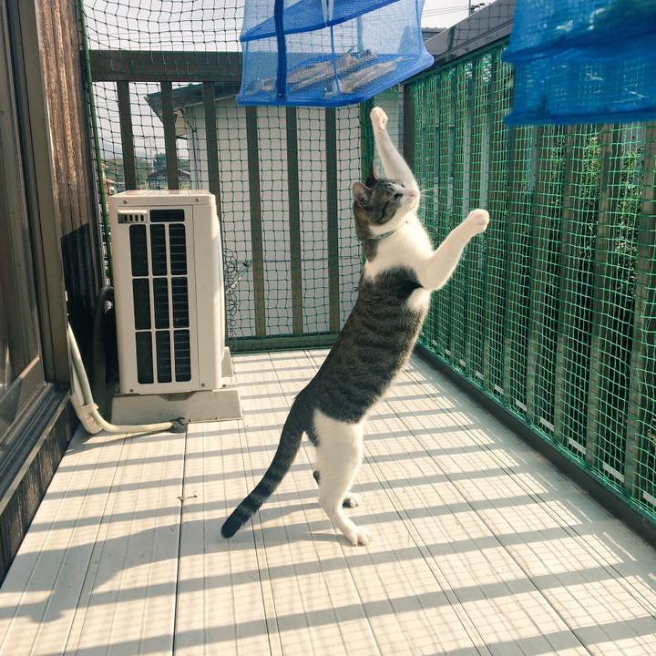 3c42a9d8 26b6 49de b03e 135f2d277580 1507680229813