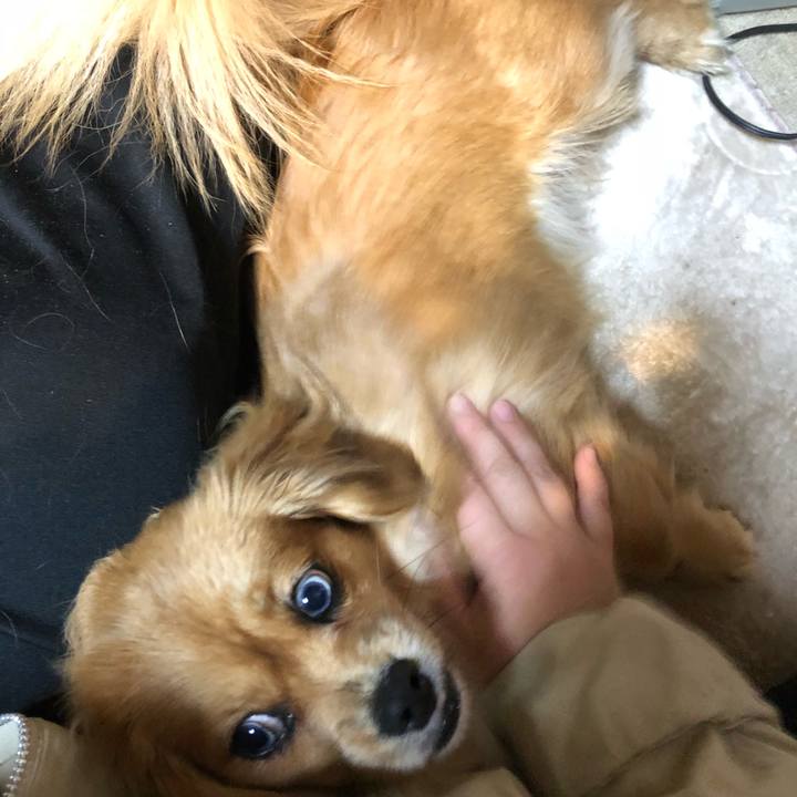 3c42e007 00e3 4ea7 a992 80cb04da4915 1516137981641