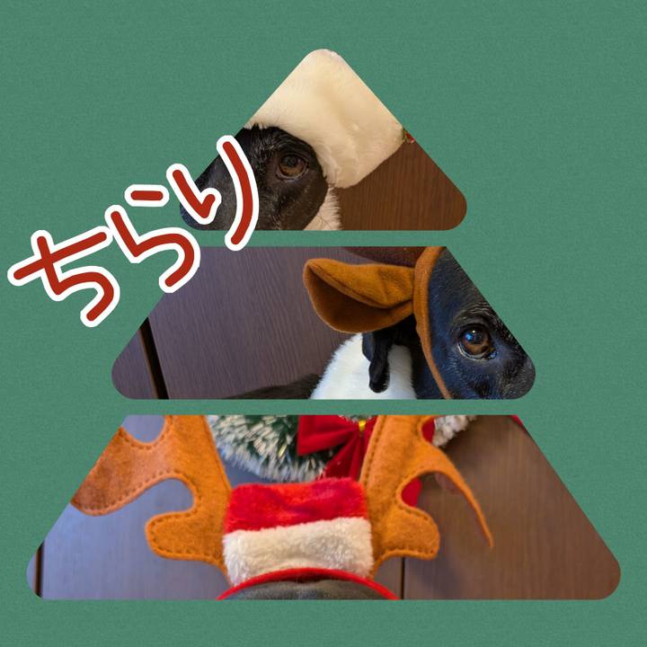 3c430285 32d4 4976 9063 52e9b8666903 1734415785366