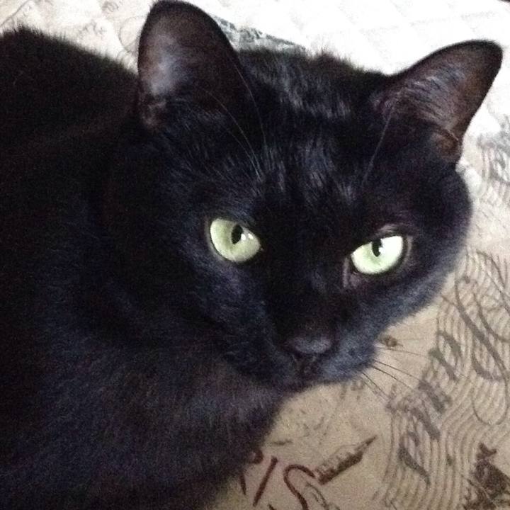 3c432a96 aec2 4c7b a330 f29d19abd097 1510389097612