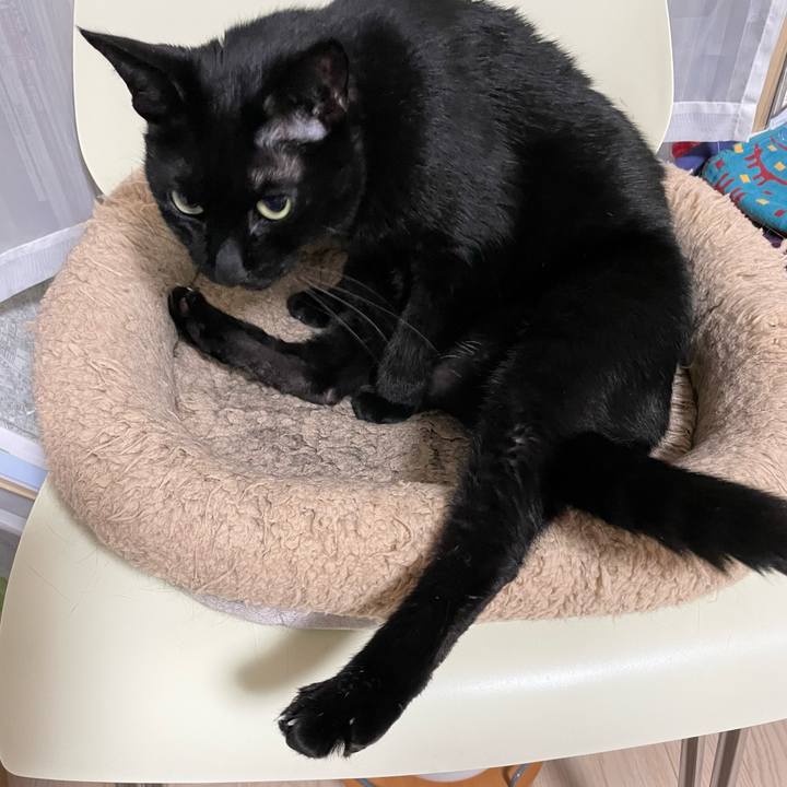 3c43416a f30d 4bd2 9971 bfe3e8be2708 1681216588982