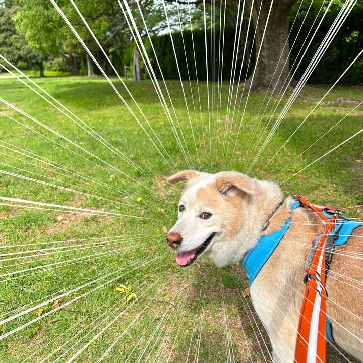 3c4345c7 b54a 400c 94d7 80509f38fc66 1683340998879