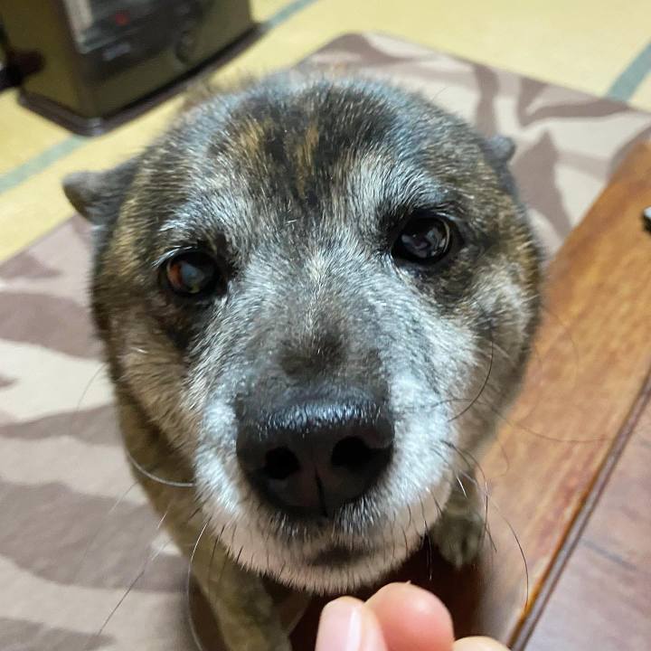 3c434f15 6d43 46ef 8a38 c61d024c0071 1643882087395