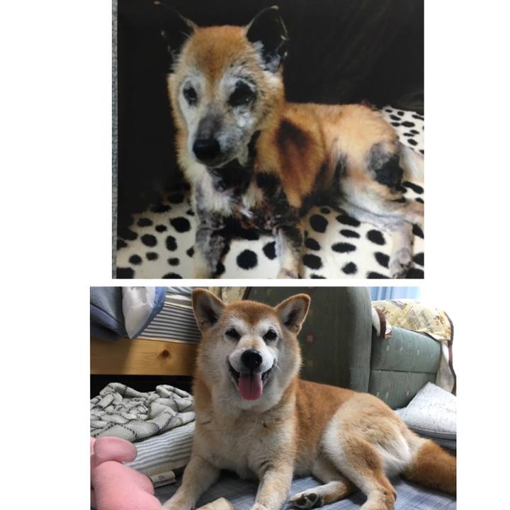 3c435201 a06c 4ecd aceb adade38adfff 1510180244911