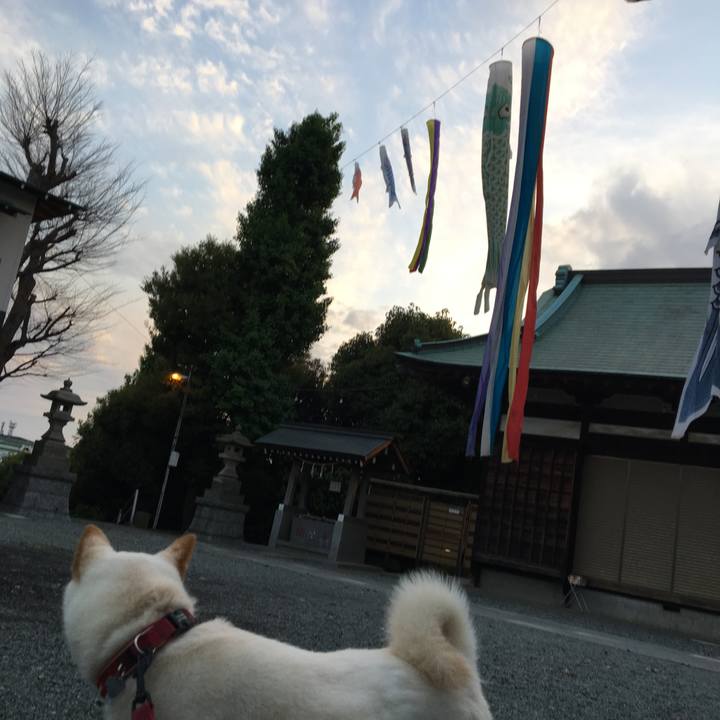 3c436c01 90c2 4a08 8ba3 047521c46da8 1524922924494