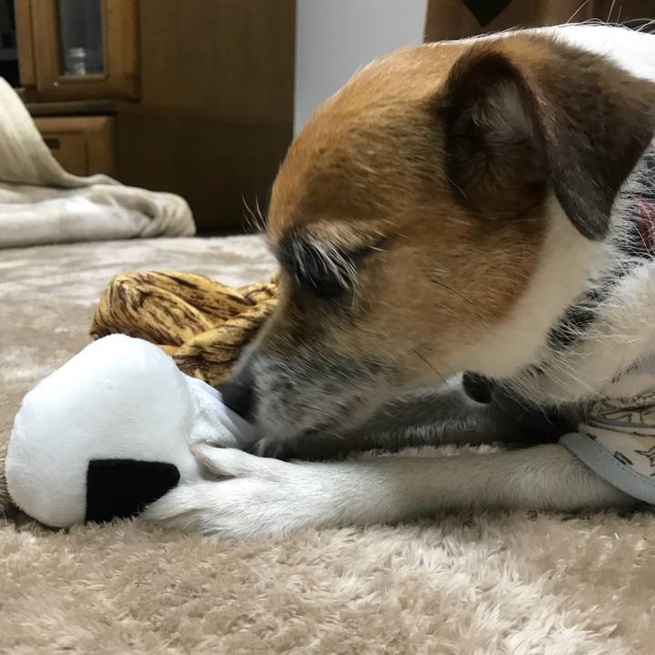 3c438eae 60c6 4e0b 8c8f 29d432b42ed1 1525433096577