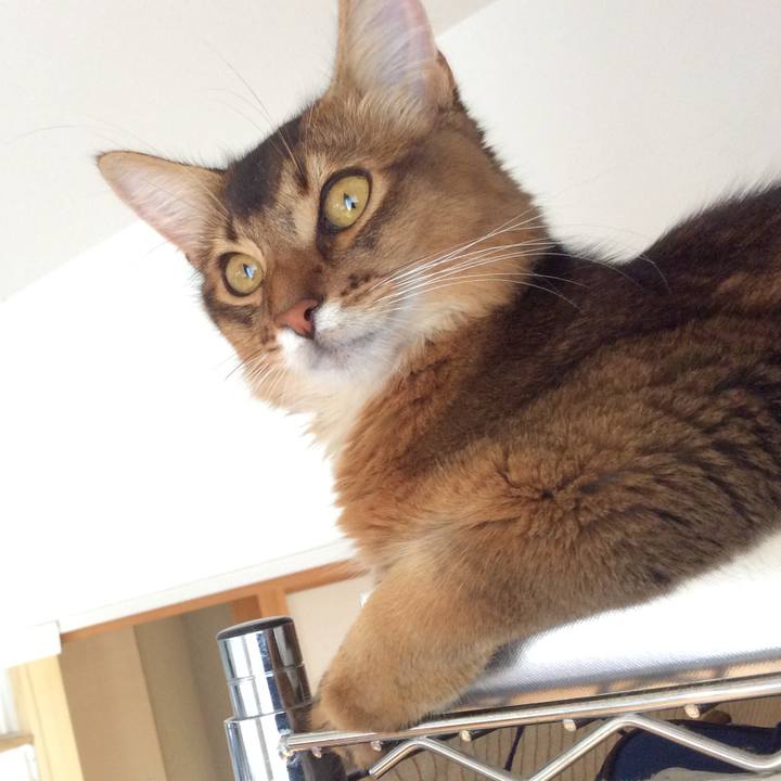 3c439a57 d34f 4479 9bee 7d3131f25025 1567468044390