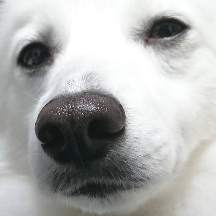 3c43a178 d02f 4cc1 b6ae ad6cba9ab3d2 1523489752753