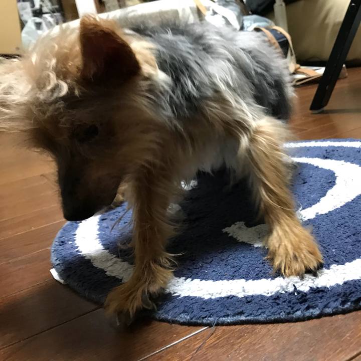 3c43be7a b035 464a b29d 1e673fe6fc3f 1533943824035