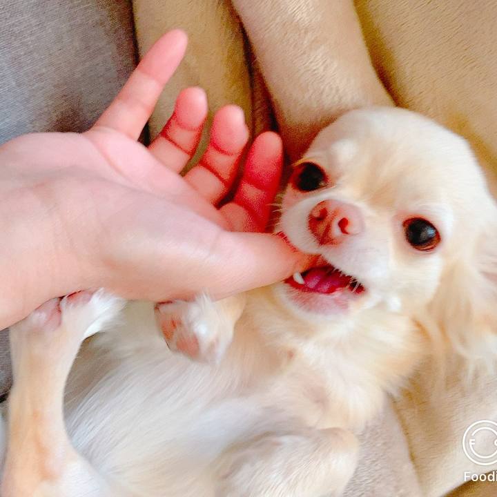 3c43da65 5a6f 44f0 8ce3 d253e5db9b42 1623398312730