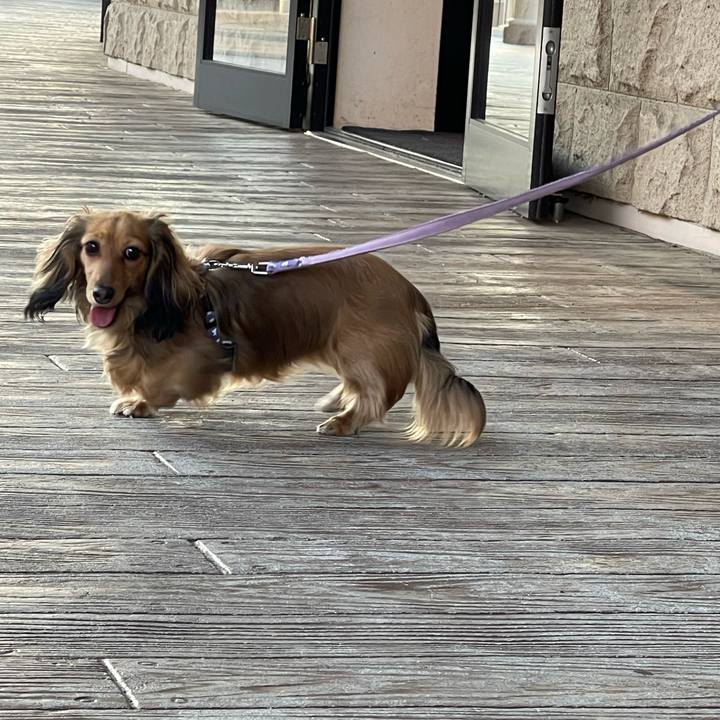 3c4423d6 2752 4d56 b8f1 bcf13c6d3b96 1652879529774