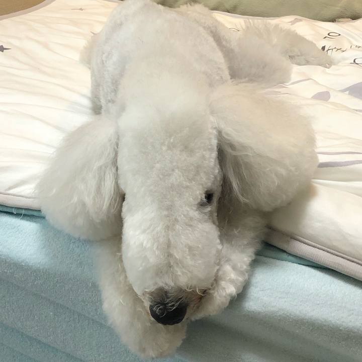 3c443337 a0c9 4ac1 b21a fd21fd650092 1622970874553