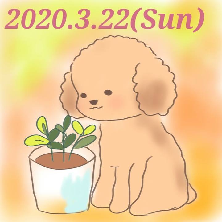 3c444827 917b 44b9 b85b af67e4cd4fde 1584887479089