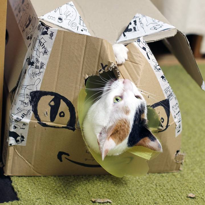 3c44522b 3a5a 46e4 8c12 f60c658afc8b 1595891542308