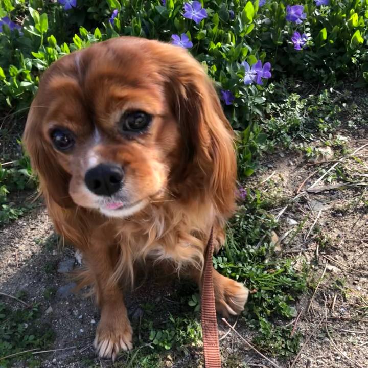 3c44a126 2343 4fad 9cb4 d35d9126700c 1616452243250