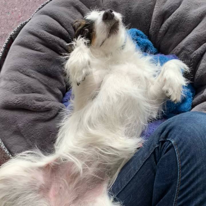 3c44d0cb 957e 40d6 8325 91c054b5987b 1613098948045