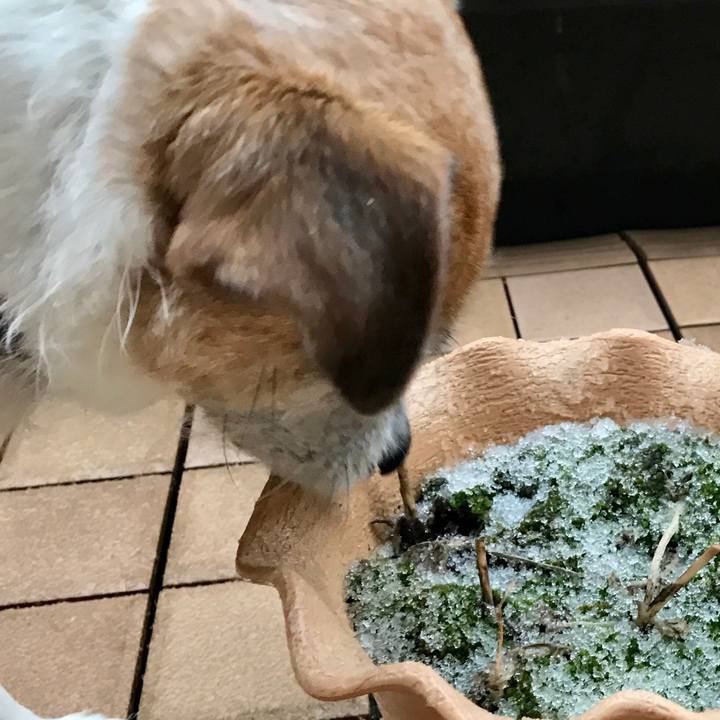 3c44e190 19a1 4aac 9eea 9c1a772f9a07 1611819401920