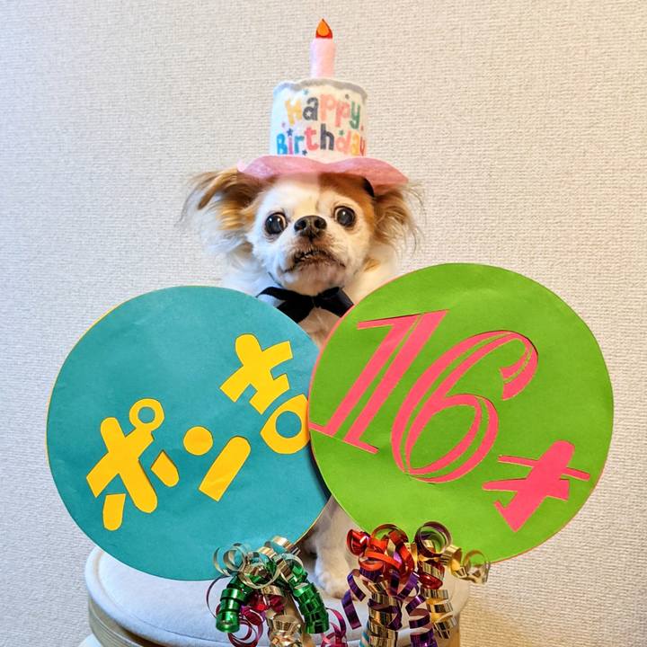 3c45b8fd b488 480e ac65 30d912c463c5 1636890409067