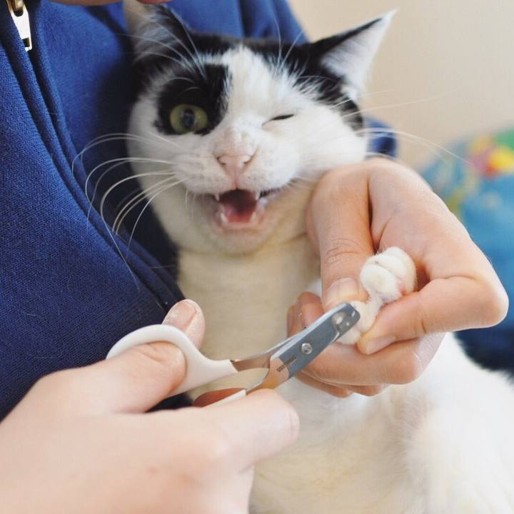 3c45bdb9 9a37 4fc2 8d36 38c2813ea7cb 1517127201613