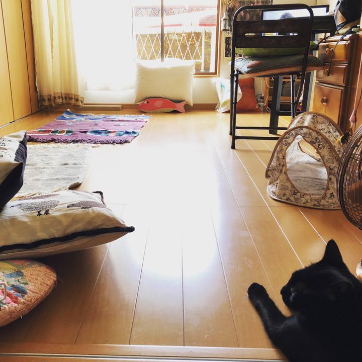 3c45cc6b d662 49a5 9764 665f906eb032 1528507811860