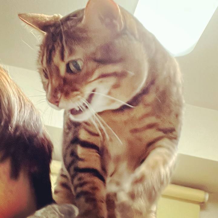 3c45dab1 5e66 4382 8546 3101cbddd656 1652828159067