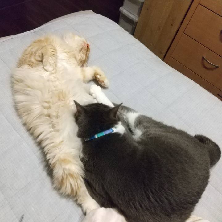 3c45e639 cb23 4c41 8665 8c21a90ecf47 1623768950785