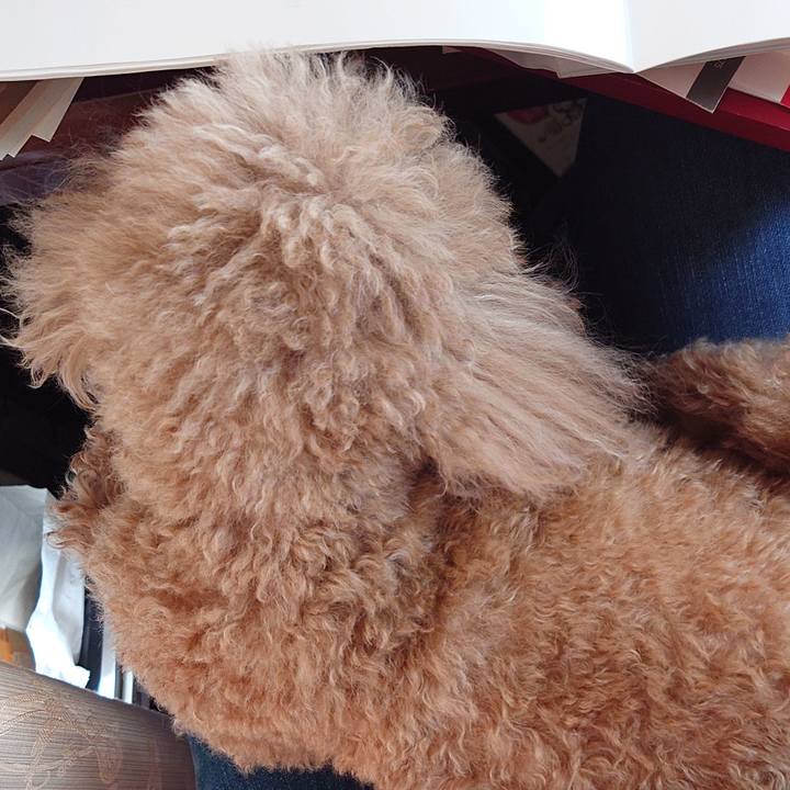 3c46227b 6b5d 408e af99 afad7ff383e0 1739684420955