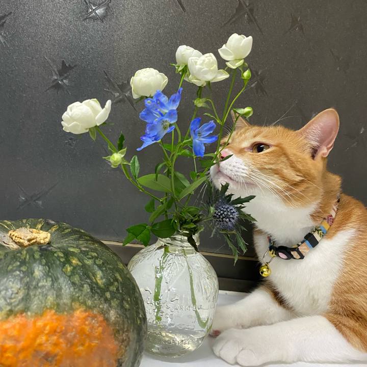 3c462999 ddf2 457e a98a b4b4720084eb 1664749210338