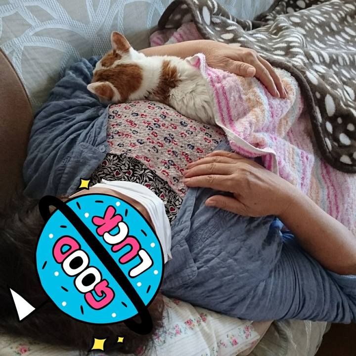 3c464513 b611 4f8c 915a c4ddf7b26d28 1600577945969