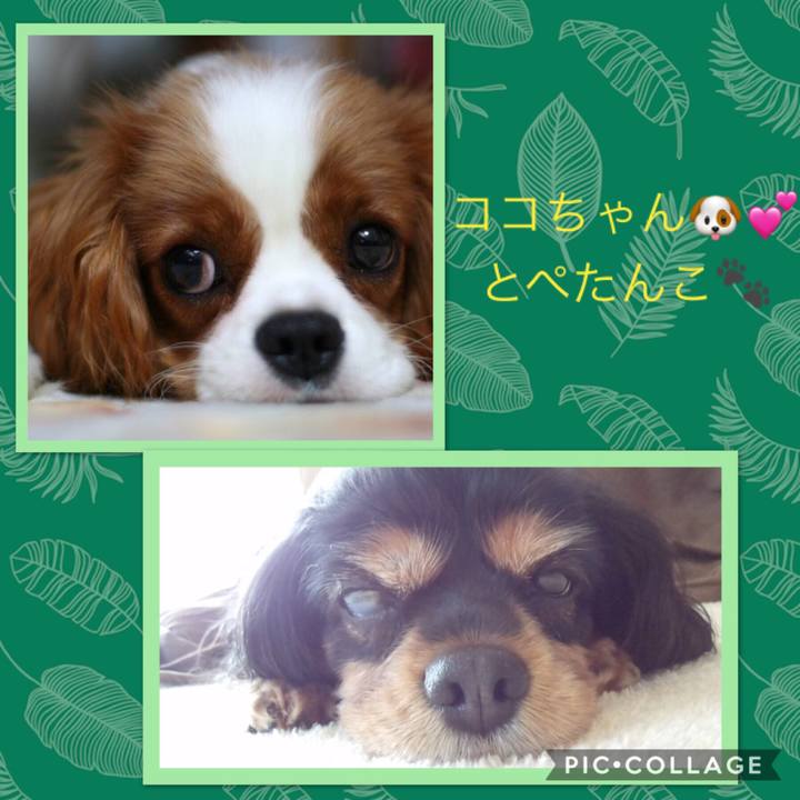 3c4682e2 1cc4 4e6a bb6e cea9cf0e9842 1532835517475