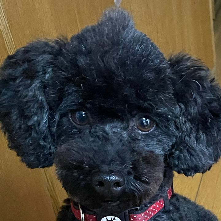 3c46a761 8a62 462f 9463 6a4100976bb8 1637384088946