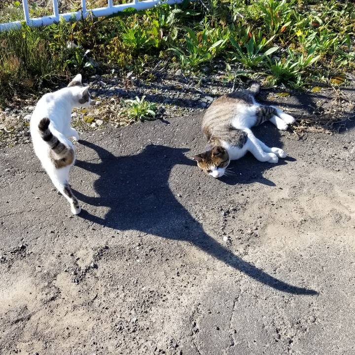 3c46dcf8 9469 4bfb a7cc bca3d41a203e 1599228196702