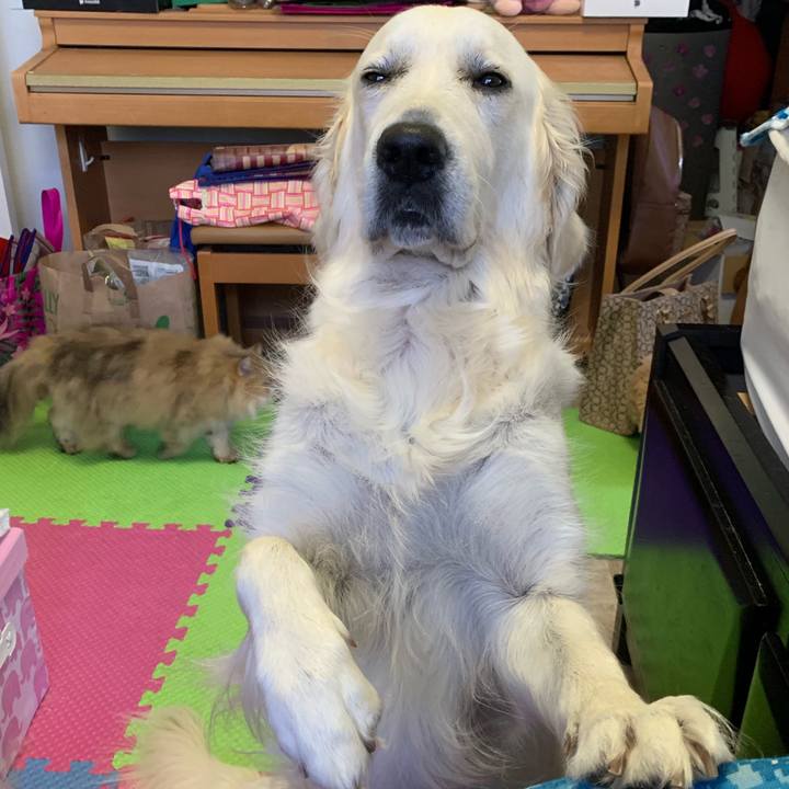 3c46e249 8224 4f33 93db 8e1405f0c175 1563305555534