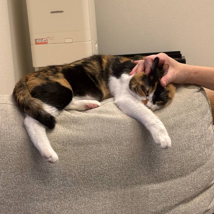 3c46f550 2e6e 4dbf 8025 d1153efaa9c2 1771330024746