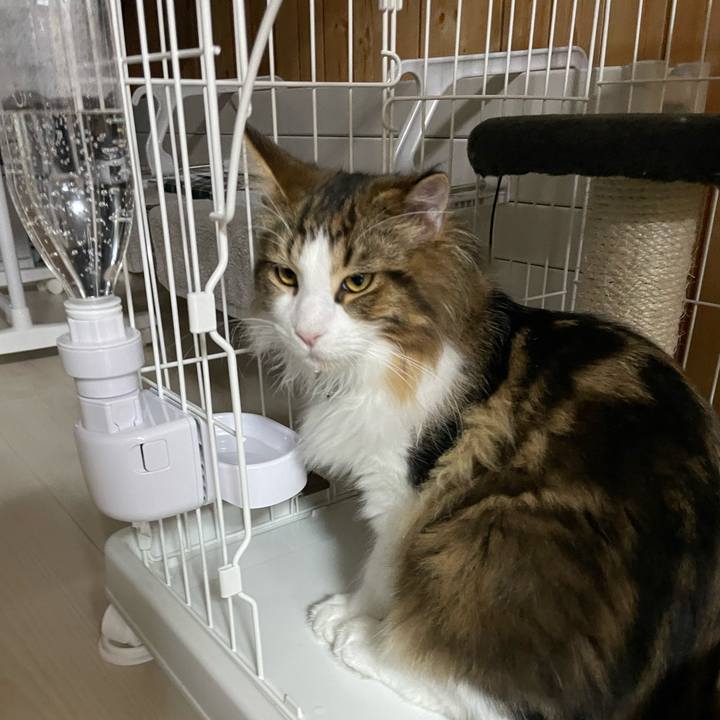 3c470f17 1270 4466 a5f4 7dea61f060d7 1640428900394