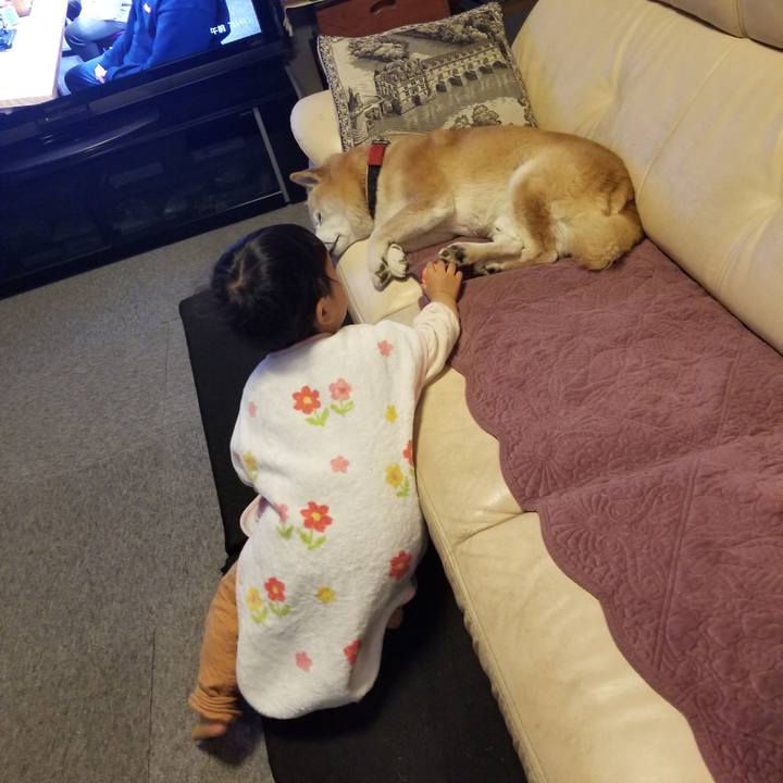 3c473df6 f3ac 409e 961d 14cd23db0a77 1735944545936