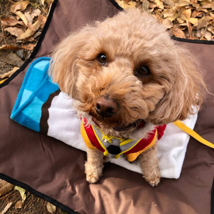 3c474ebe 2166 4dec 9bb6 8ac60a8e7c4e 1773565602312