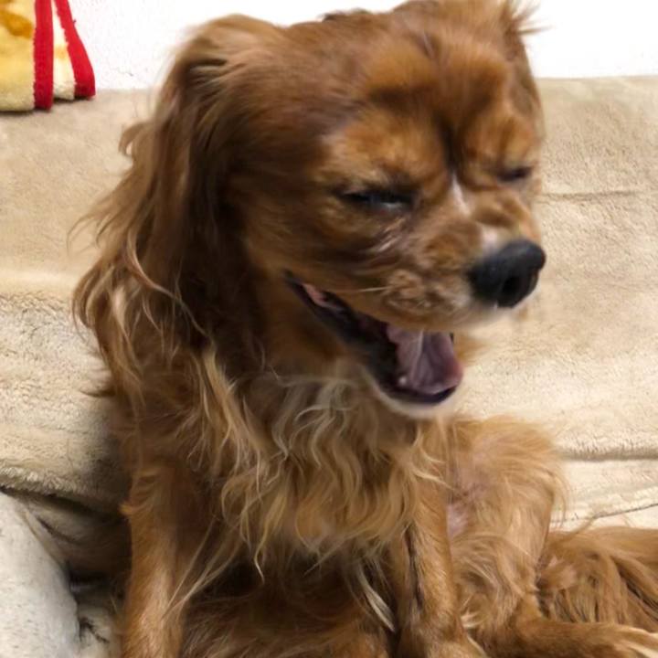 3c47a671 d9f4 48b3 a1bd 4059a68a0d3f 1614118852928