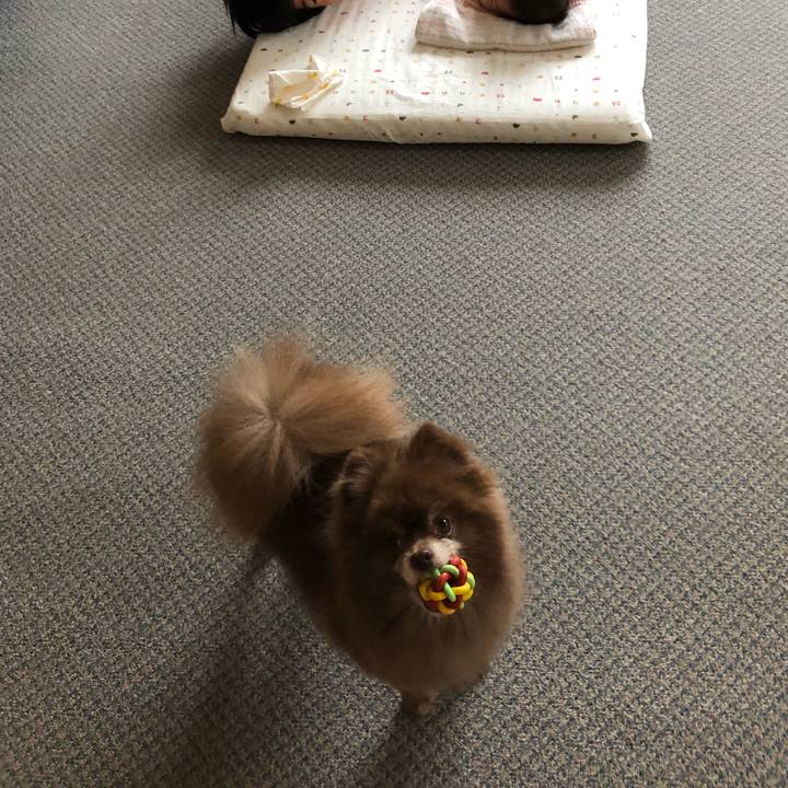 3c47cb7c 7f21 4de3 bfc8 8c394d2b8b33 1561944768509