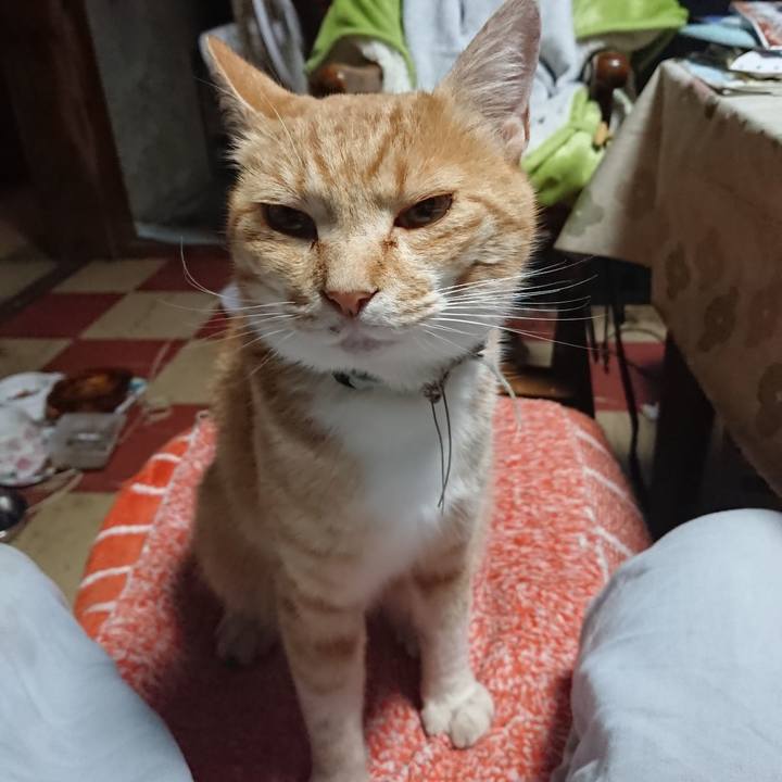 3c47ffe6 854b 4b1e a593 2d877b1164d2 1592422260246