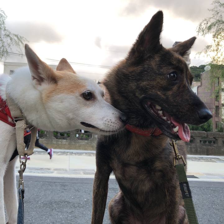 3c480161 b8d9 4bc3 9d09 d790a6dd01e1 1595244419720