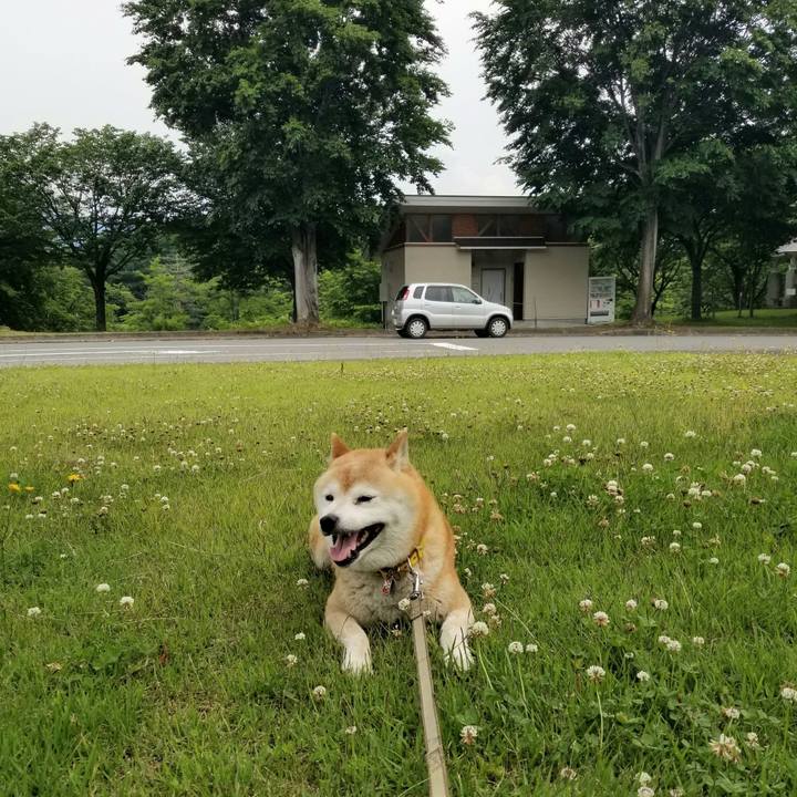 3c48465c 8776 4081 9fa1 71dc60e6f9f2 1686372972530