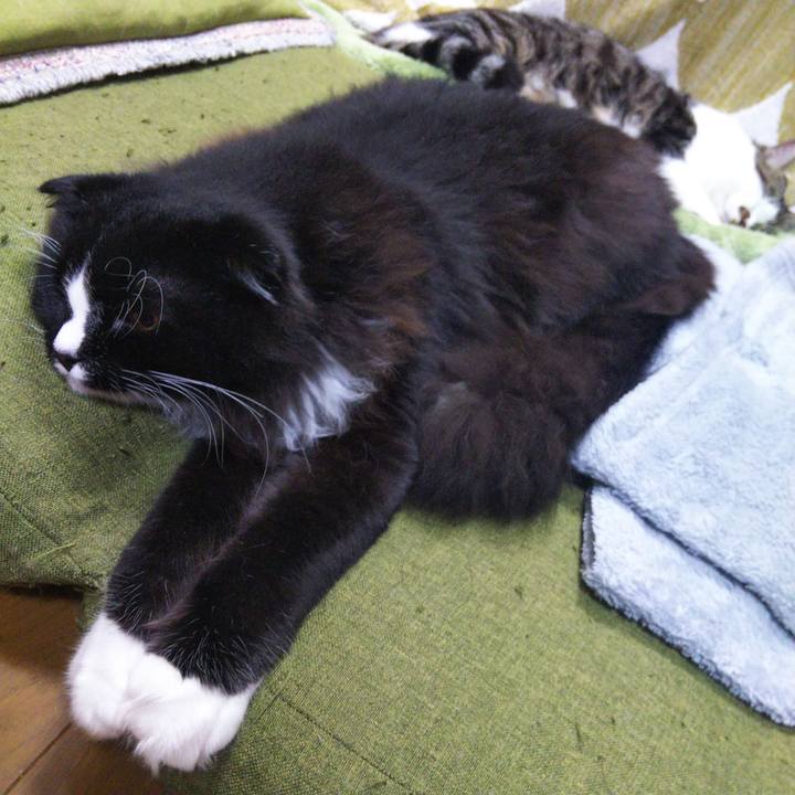 3c486868 39b3 45cf 8160 c33462e594ce 1654738532756