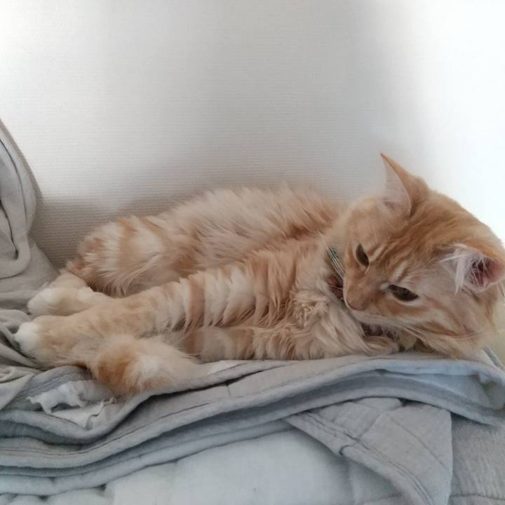 3c487a30 4fc8 4e24 be08 c8664ea8c7c7 1639789634487