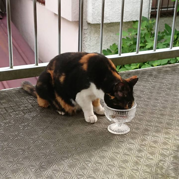 3c488b34 5c57 4f1b bdf2 dac069bf54da 1595810162609