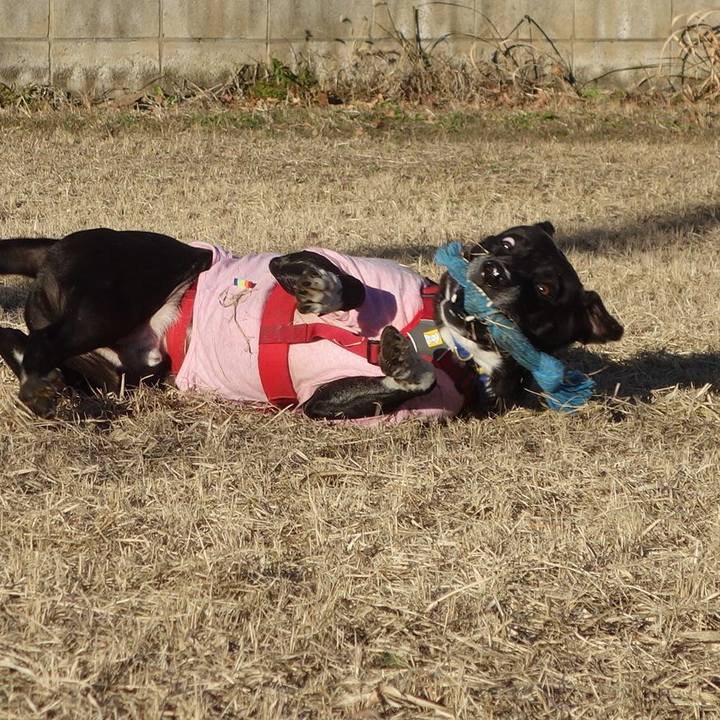 3c489147 50d1 4187 a648 151d78d19aa7 1672707873075