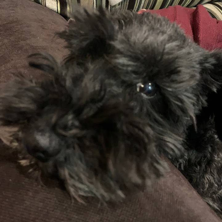 3c489730 71b8 4201 b378 98fdb6d5e267 1615807073801